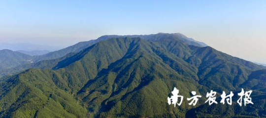 惠州罗浮山省级自然保护区 惠州罗浮山省级自然保护区
