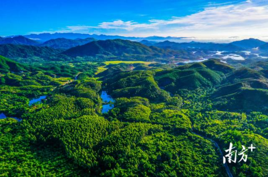莲花山。 通讯员 林荫 供图 亚洲博彩平台排名