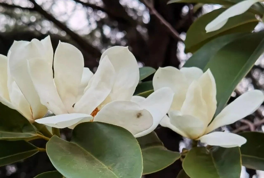 亚洲博彩平台排名
