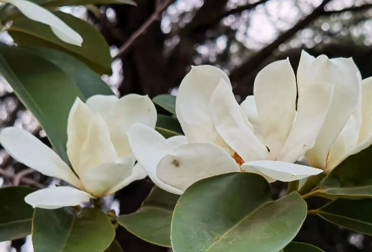 亚洲博彩平台排名