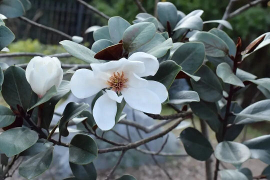 亚洲博彩平台排名