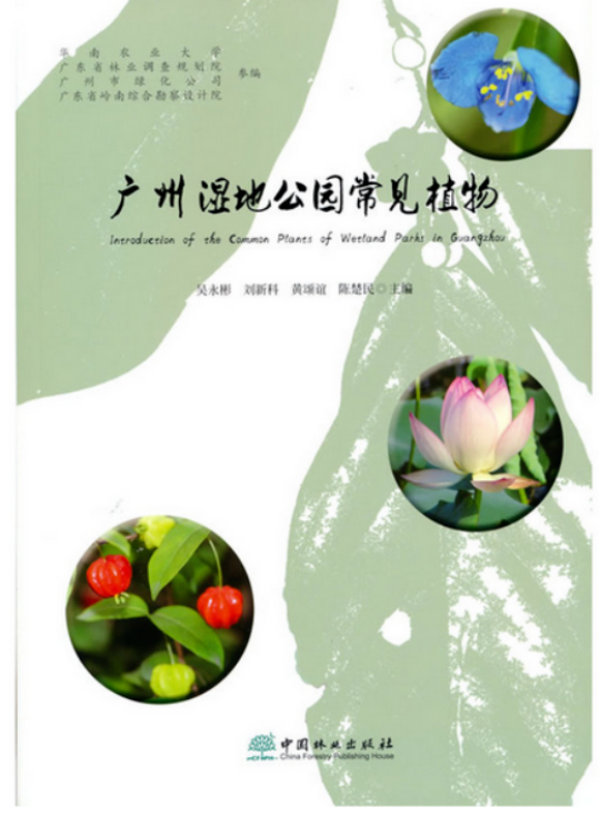亚洲博彩平台排名