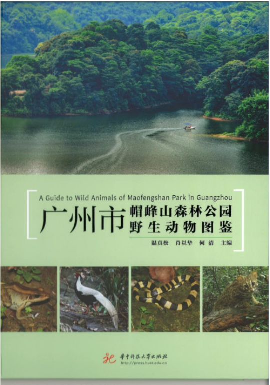 亚洲博彩平台排名