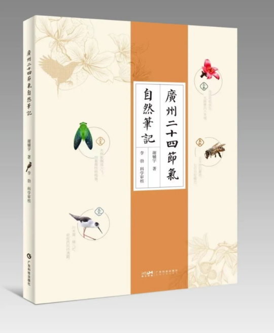 亚洲博彩平台排名