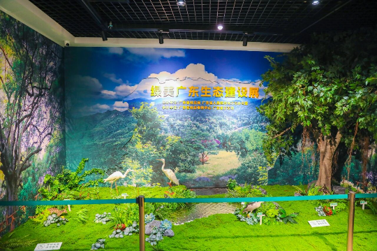 亚洲博彩平台排名