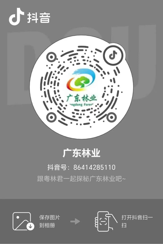 亚洲博彩平台排名
