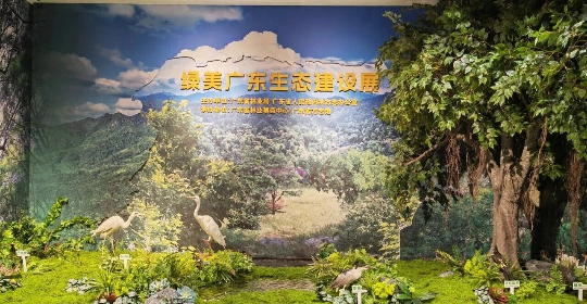 亚洲博彩平台排名