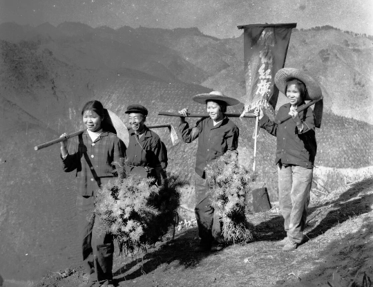亚洲博彩平台排名