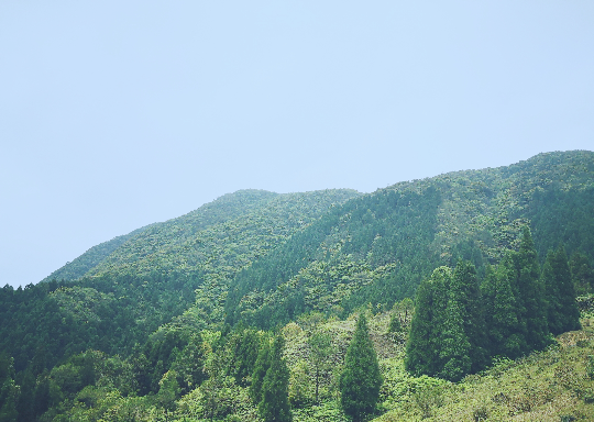亚洲博彩平台排名