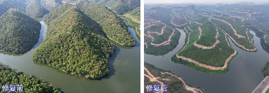 亚洲博彩平台排名