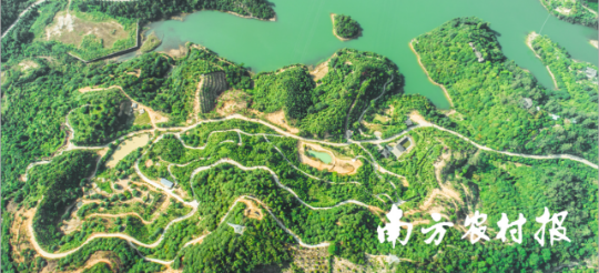 莞香非遗植物园 莞香非遗植物园