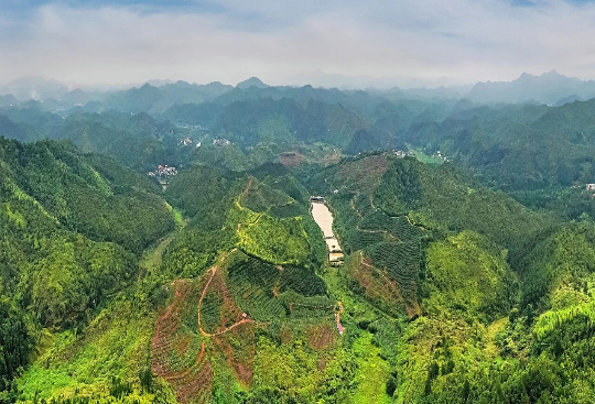 亚洲博彩平台排名
