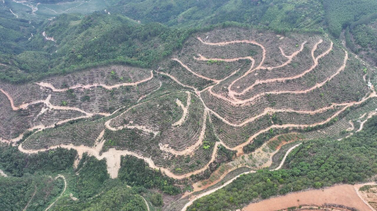 亚洲博彩平台排名