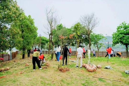 亚洲博彩平台排名