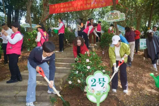 亚洲博彩平台排名