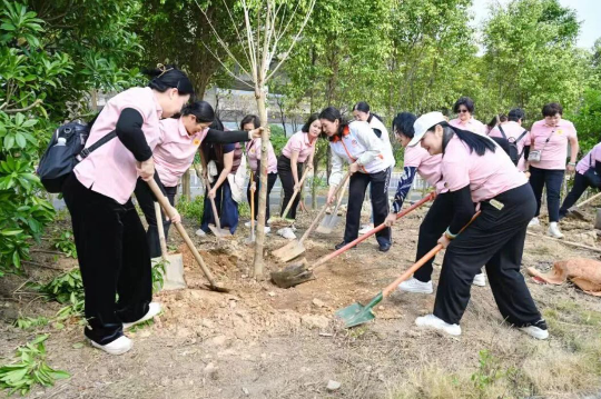 亚洲博彩平台排名