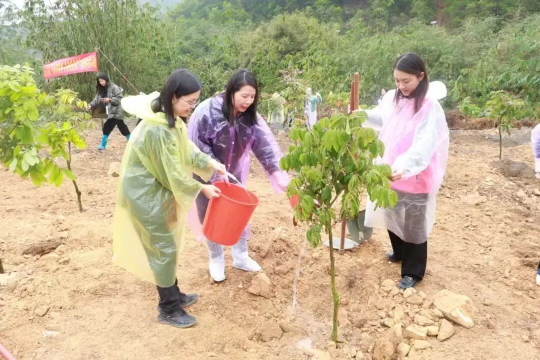亚洲博彩平台排名