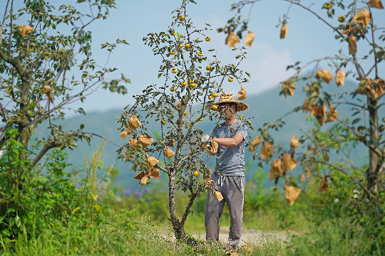 亚洲博彩平台排名