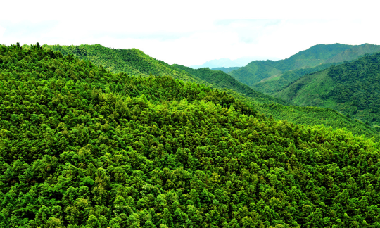 南岭地区郁郁葱葱