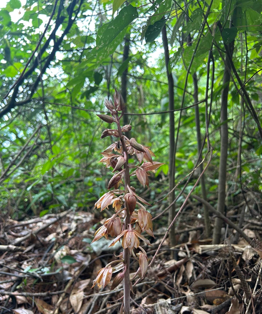 亚洲博彩平台排名