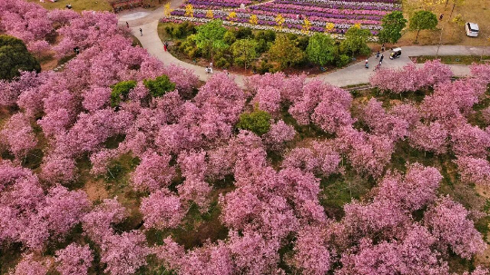 亚洲博彩平台排名