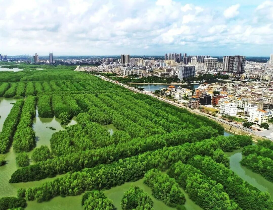 亚洲博彩平台排名