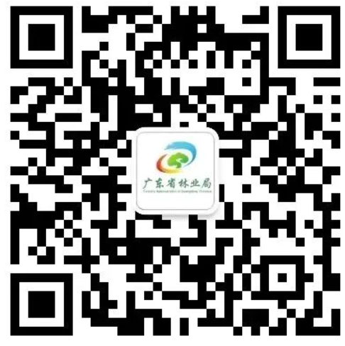 亚洲博彩平台排名
