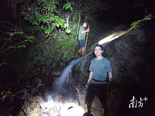 何南和同事深入保护区原生栖息地,开展夜间野外巡护与种群监测工作。 何南和同事深入保护区原生栖息地,开展夜间野外巡护与种群监测工作。