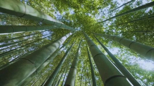 亚洲博彩平台排名