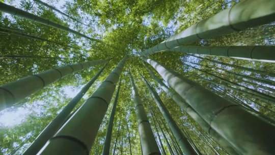 亚洲博彩平台排名