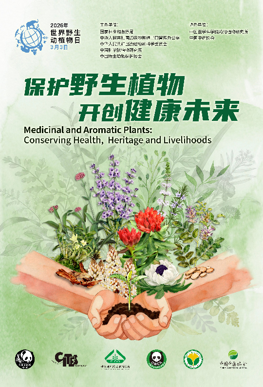 亚洲博彩平台排名