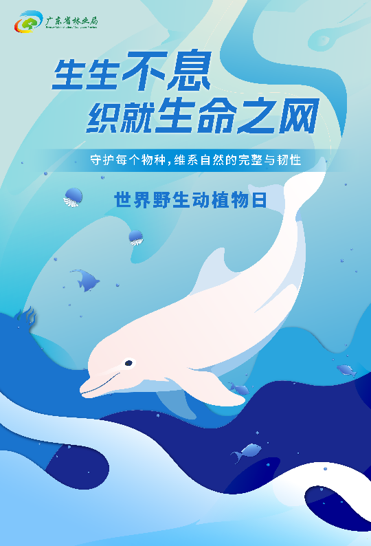 亚洲博彩平台排名