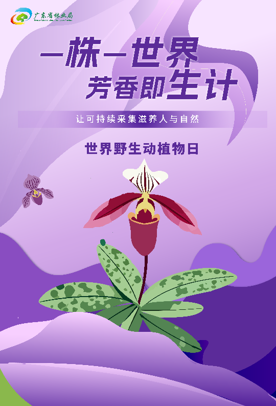 亚洲博彩平台排名