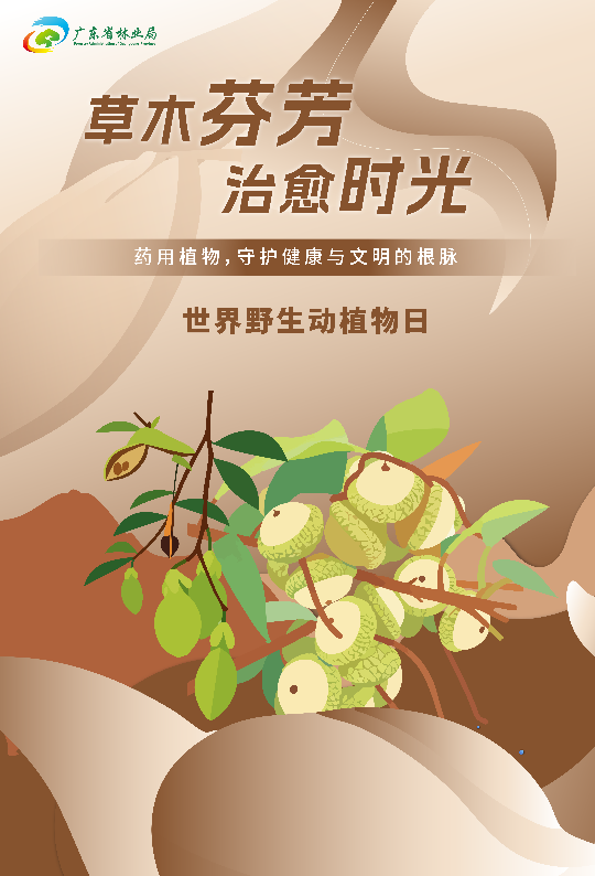 亚洲博彩平台排名