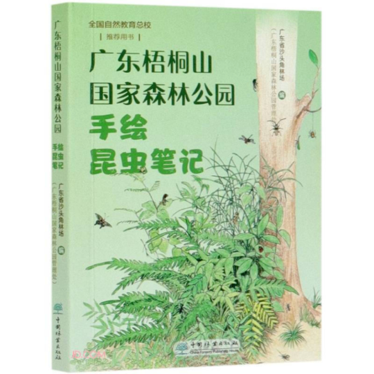 亚洲博彩平台排名