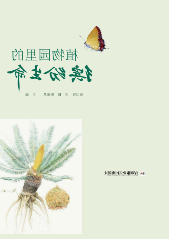 亚洲博彩平台排名