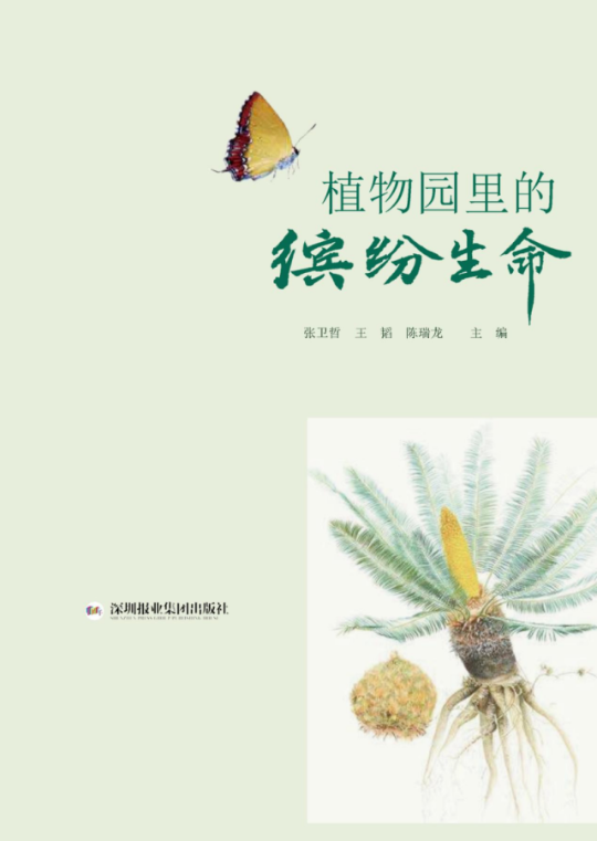 亚洲博彩平台排名
