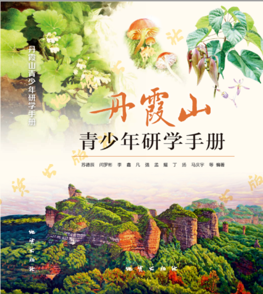 亚洲博彩平台排名