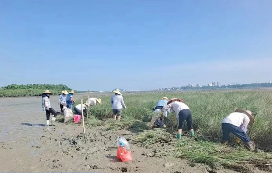 亚洲博彩平台排名