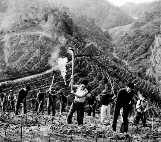 1974—1975年，数以万计党员干部、青年民兵自备生产工具，凭着坚韧毅力锄战岳山。资料图片