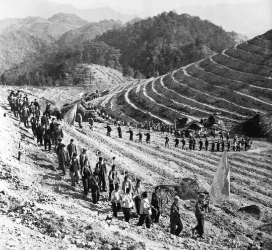 1974—1975年,面对恶劣的自然环境,岳山造林人投入到植树造林大会战中去。资料图片 1974—1975年,面对恶劣的自然环境,岳山造林人投入到植树造林大会战中去。资料图片