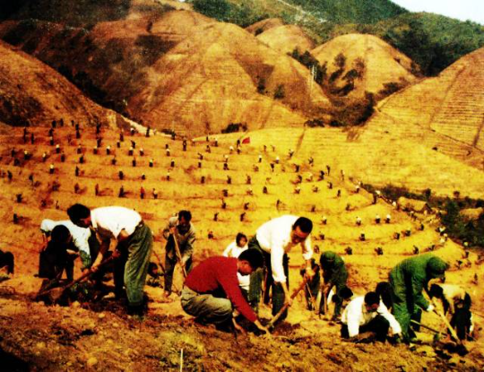 1974—1975年，怀集组织2.5万名青年民兵和公社社员投入到岳山造林大会战中去。资料图片