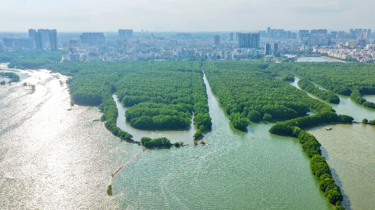 亚洲博彩平台排名