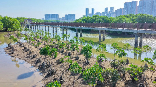 亚洲博彩平台排名