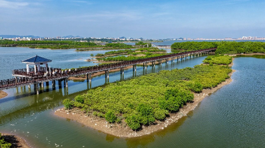 亚洲博彩平台排名