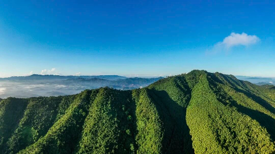 亚洲博彩平台排名