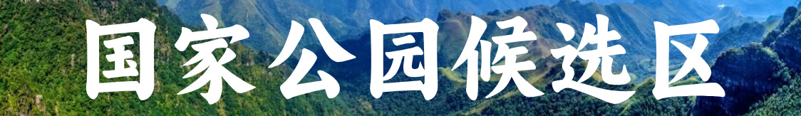 亚洲博彩平台排名推荐