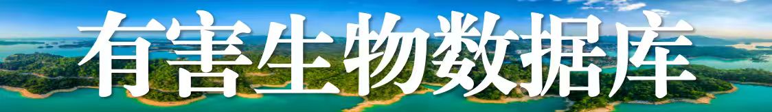 亚洲博彩平台排名排名