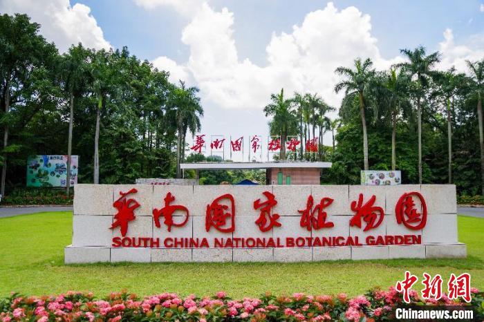 华南国家植物园 亚洲博彩平台排名 供图