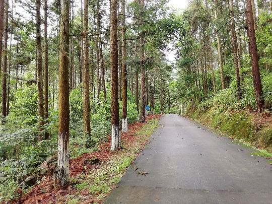 韶关市始兴县国有刘张家山林场 (2).jpg